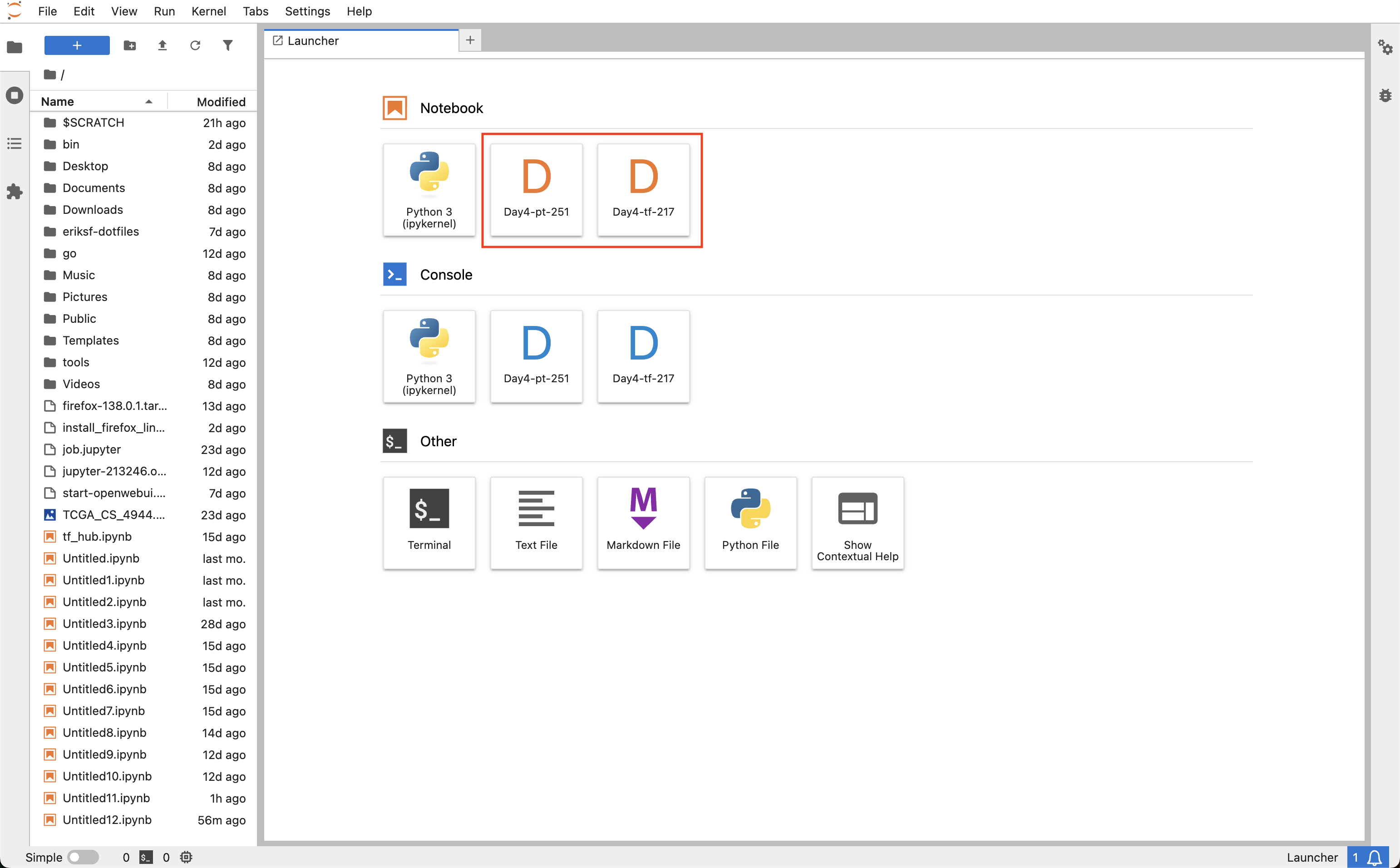 Figure 3 Jupyter Lab interface showing user $HOME