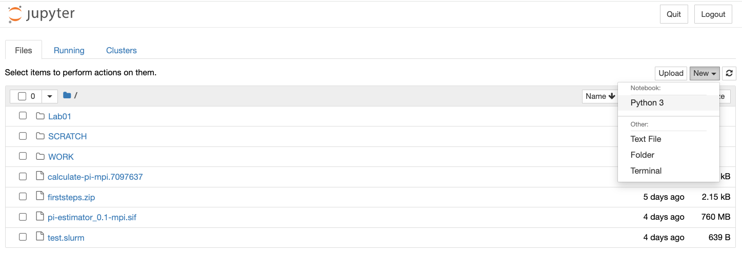 Figure 5. Jupyter notebook file browser view.