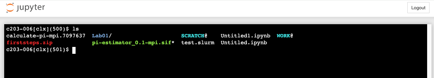 Figure 9. Jupyter terminal interface.