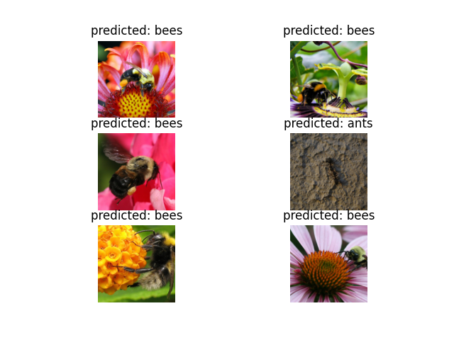 ../_images/resnet18-finetuned_predictions.png